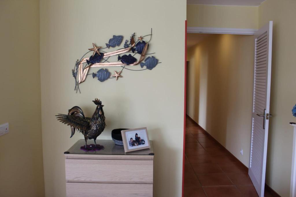 Apartaments Oller Centro 罗萨斯 外观 照片