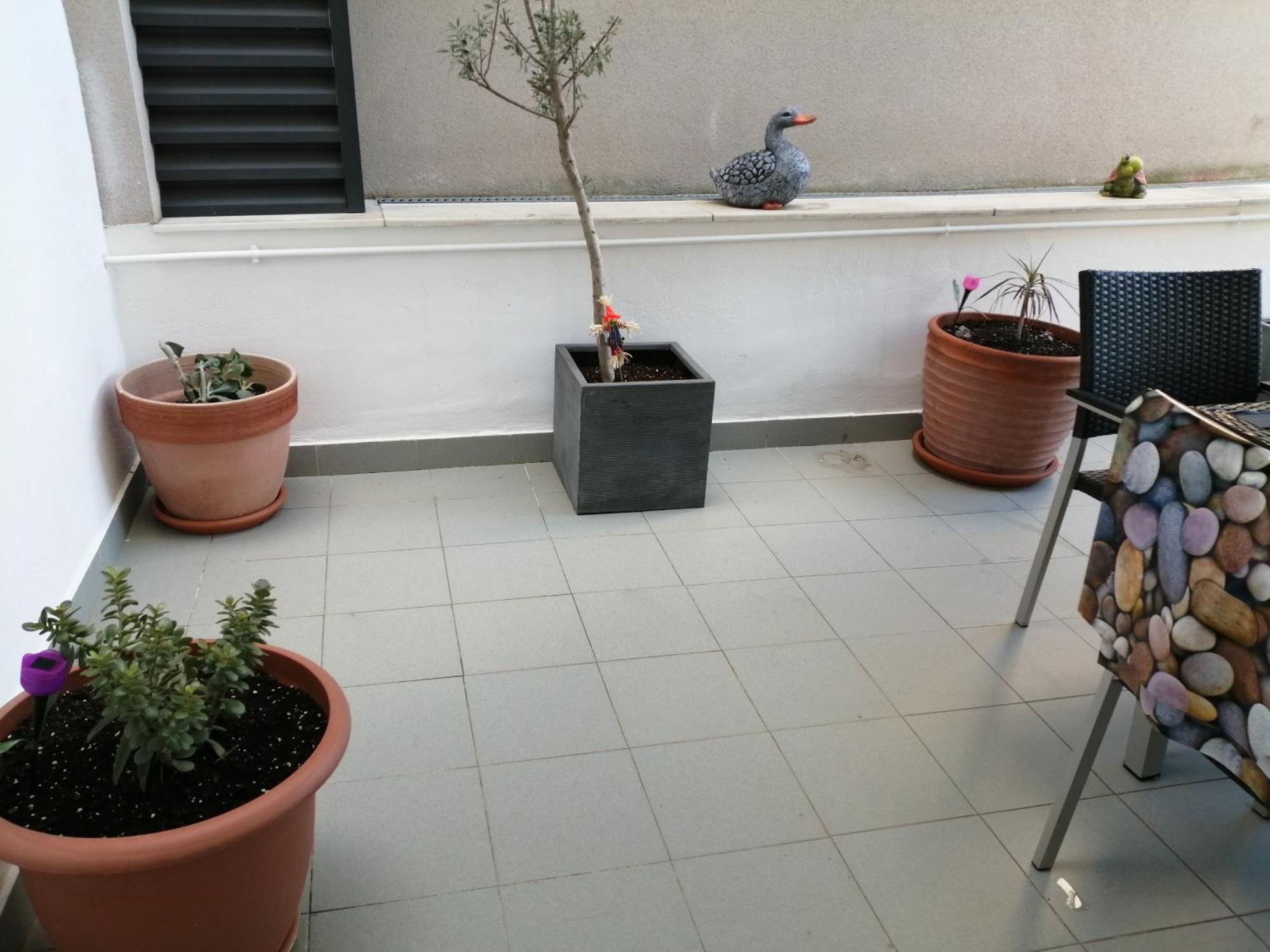 Apartaments Oller Centro 罗萨斯 外观 照片